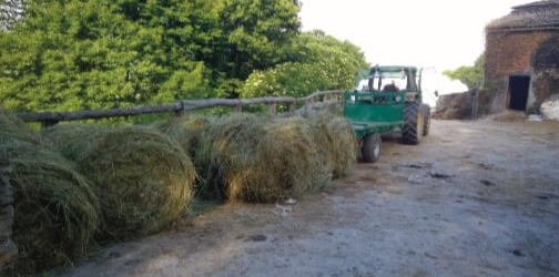 Tracteur et balles de foin